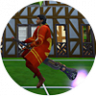 Quidditch Career & Event
